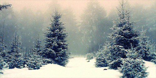 Blog: Add a Christmas Snow background to your homepage