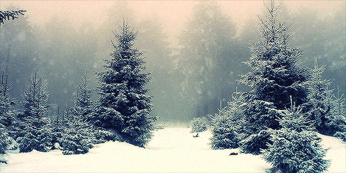 Blog: Add a Christmas Snow background to your homepage Blog: Add a Christmas Snow background to your homepage