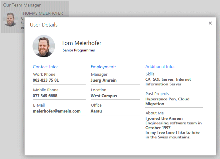 Sharepoint User Profile Detail View