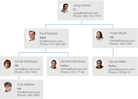 Organization Chart Web